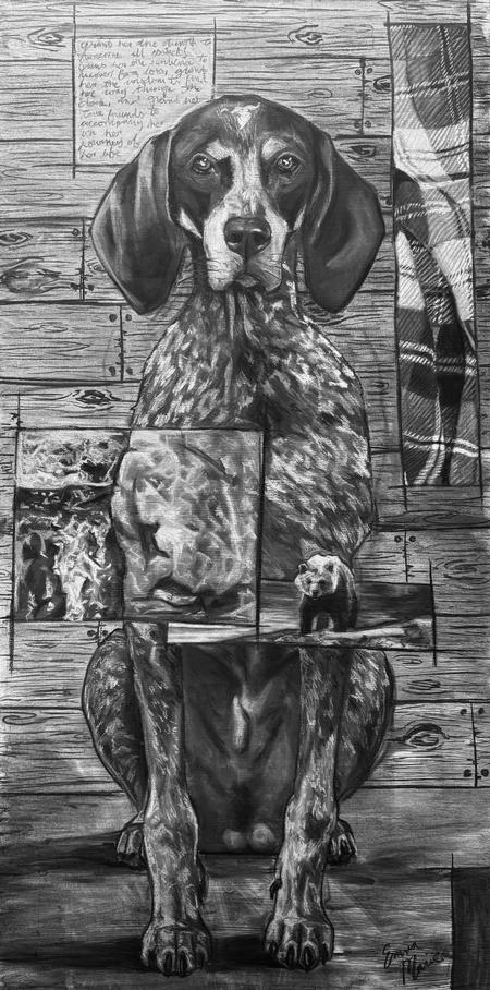 Art Galleries - Dog Portrait - 148470